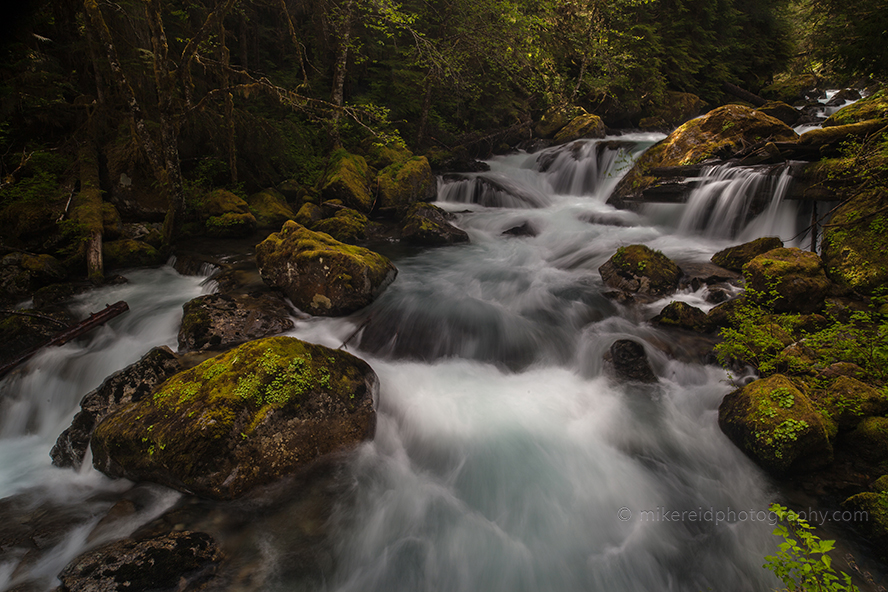 Stream Flow Serenity